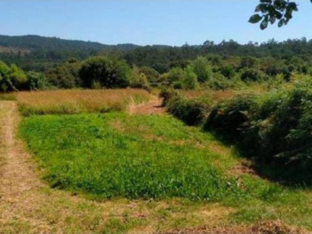 Terreno en venta en Pexegueiro, O Baixo Miño