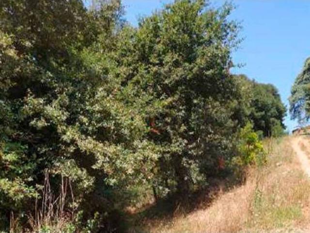 Terreno en venta en Tomiño, O Baixo Miño