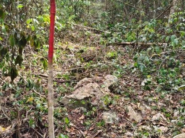 Terreno en venta en Felipe Carrillo Puerto, Quintana Roo