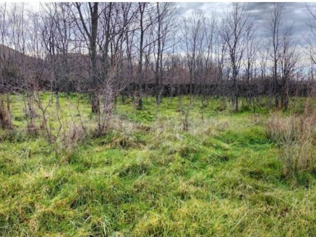 Terreno en venta en Turégano, Castilla y León
