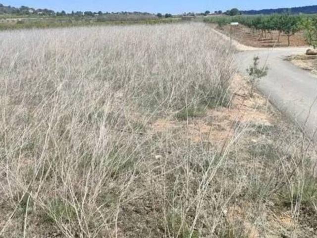 Terreno en venta en la Ribera Alta, Valencia