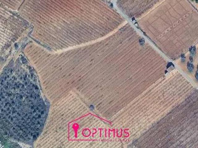 Terreno en venta en la Ribera Alta, Valencia
