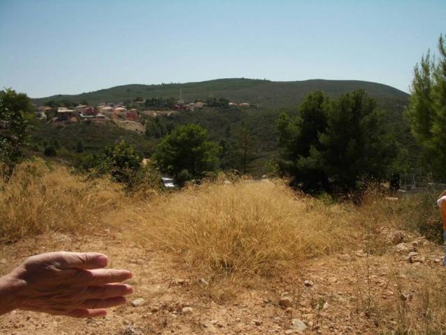 Terreno en venta en la Ribera Alta, Valencia