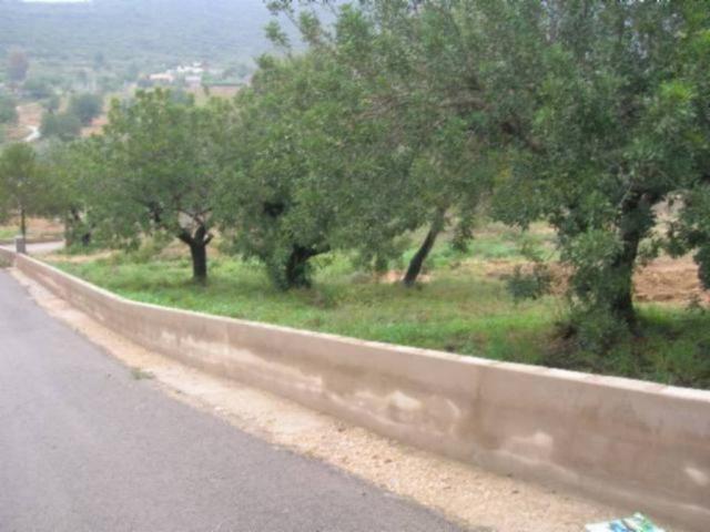Terreno en venta en la Ribera Alta, Valencia