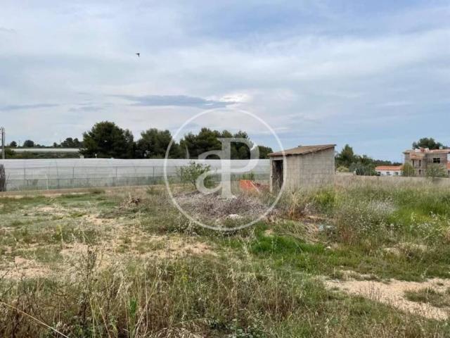 Terreno en venta en la Ribera Alta, Valencia