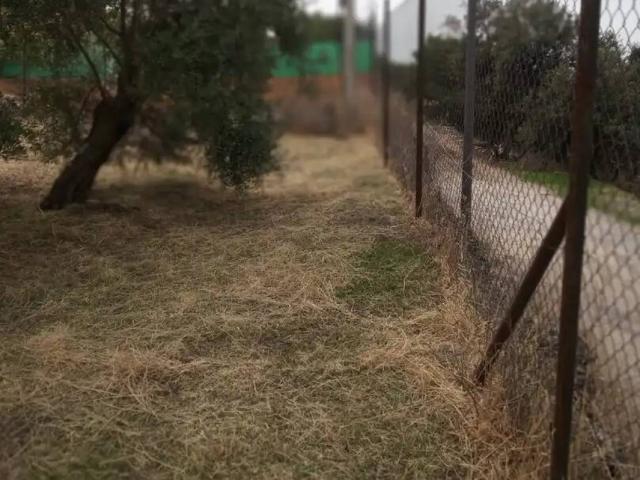Terreno en venta en Úbeda, Andalucía