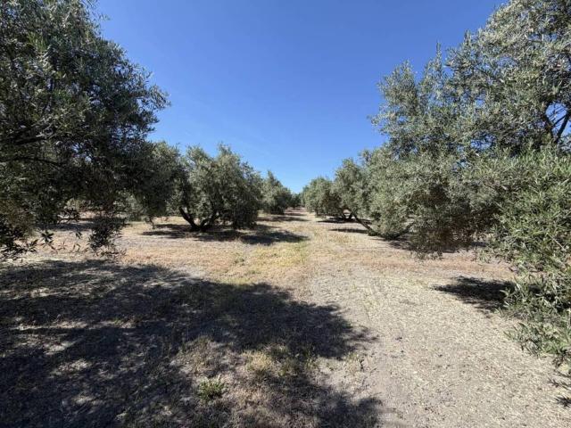 Terreno en venta en Úbeda, Andalucía
