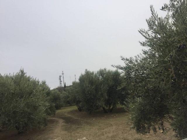 Terreno en venta en Úbeda, Andalucía