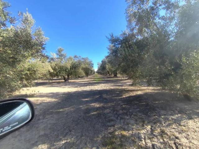 Terreno en venta en Úbeda, Andalucía