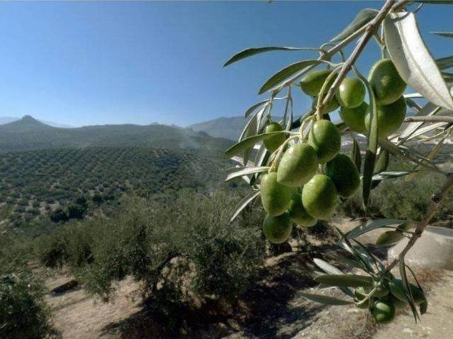 Terreno en venta en Bailén, Andalucía