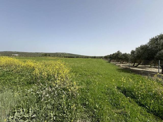 Terreno en venta en Úbeda, Andalucía