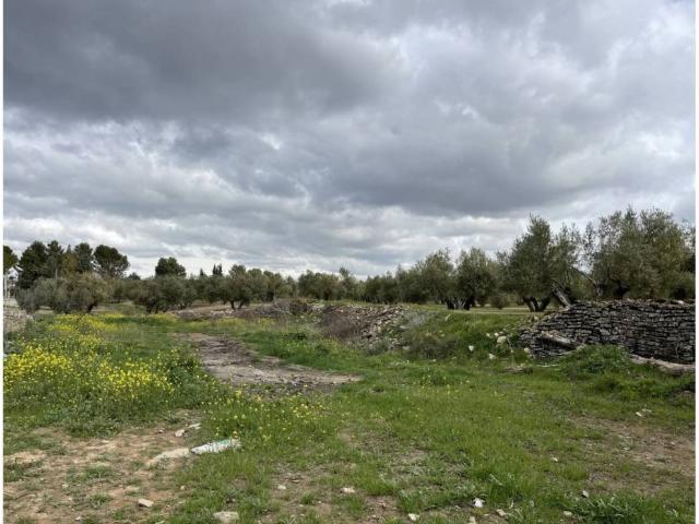 Terreno en venta en Úbeda, Andalucía