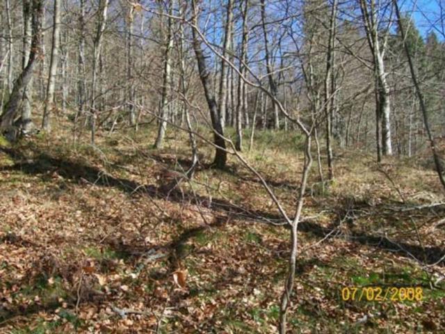 Terreno en venta en Ubide, Guipúzcoa