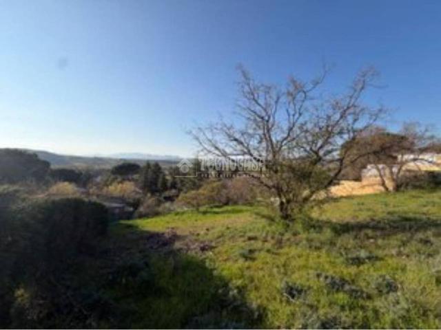 Terreno en venta en Uceda, Castilla-La Mancha