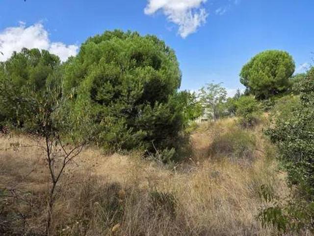 Terreno en venta en Peñarrubia, Uceda
