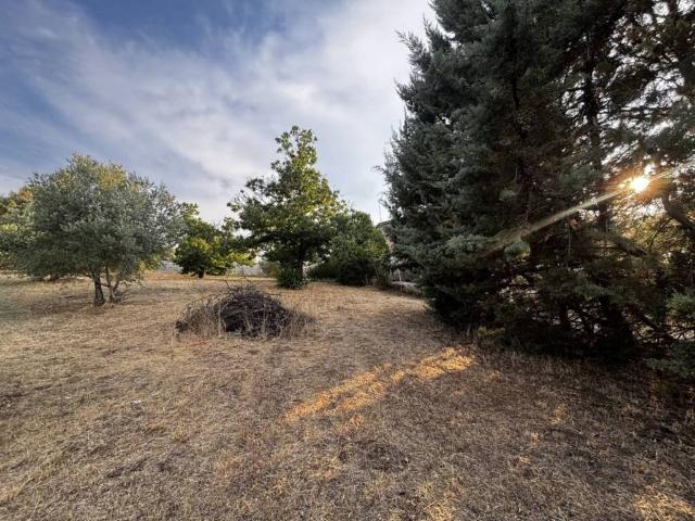 Terreno en venta en Uceda, Castilla-La Mancha