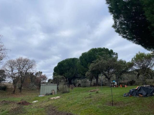 Terreno en venta en Uceda, Castilla-La Mancha