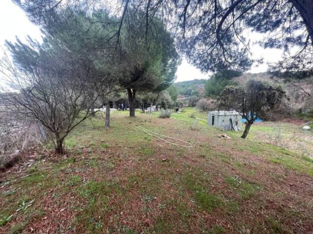 Terreno en venta en Uceda, Castilla-La Mancha