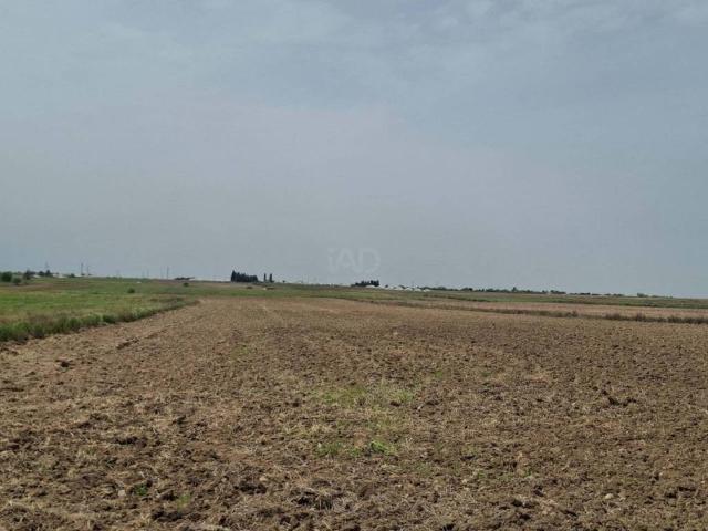 Terreno en venta en Ugena, Castilla-La Mancha