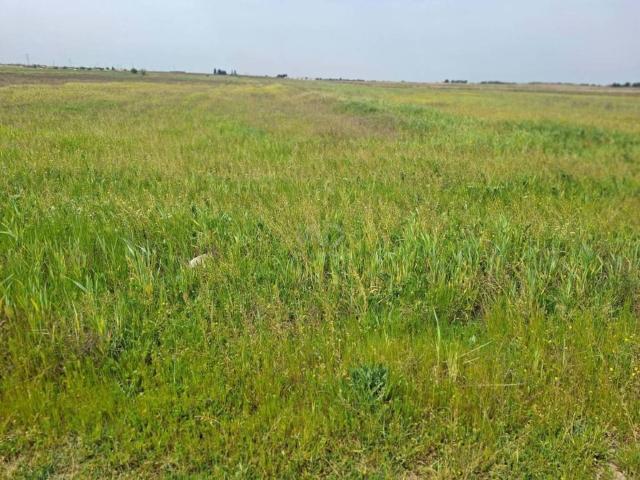Terreno en venta en Ugena, Castilla-La Mancha