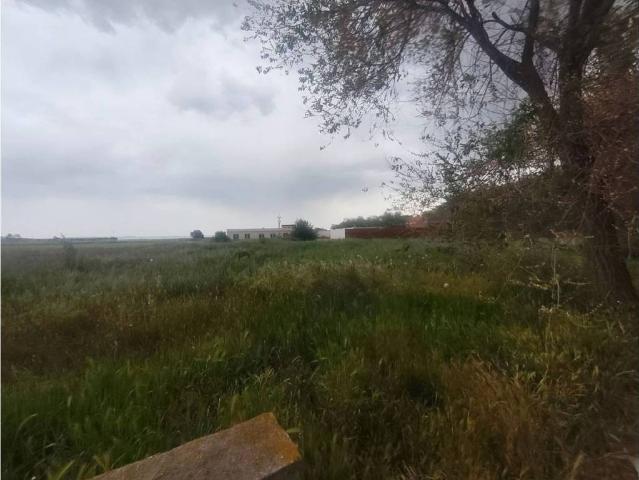 Terreno en venta en Ugena, Castilla-La Mancha
