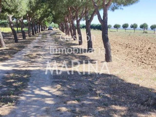 Terreno en venta en Ugena