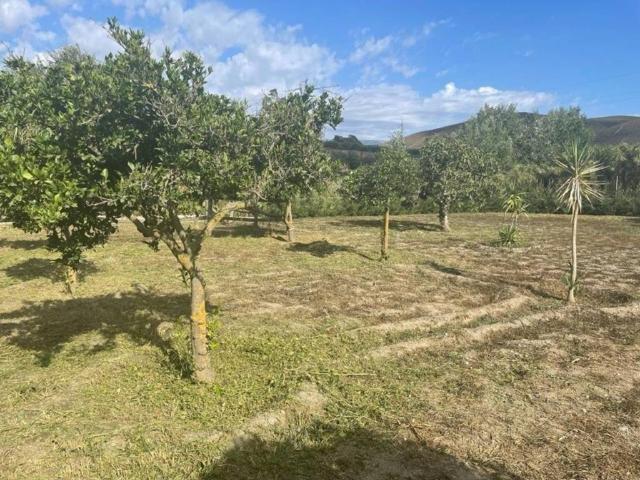 Terreno en venta en Comarca de la Alpujarra Granadina, Andalucía