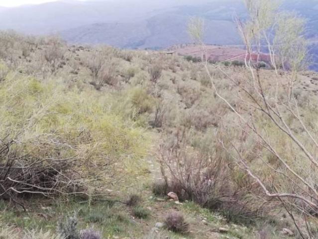 Terreno en venta en Comarca de la Alpujarra Granadina, Andalucía