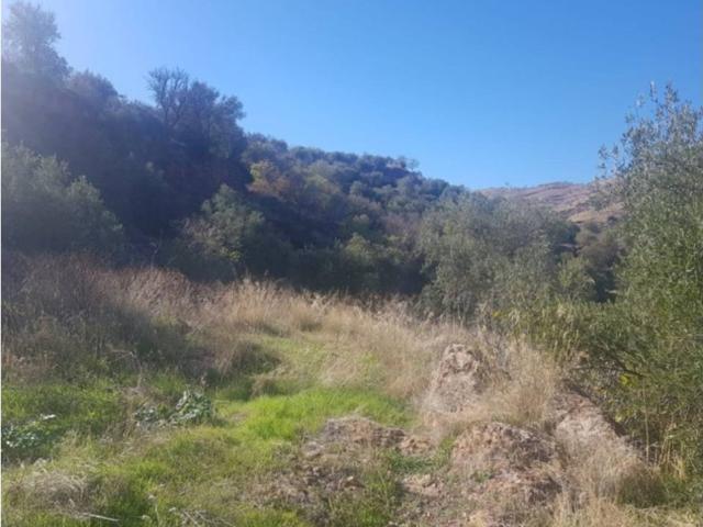 Terreno en venta en Comarca de la Alpujarra Granadina, Andalucía