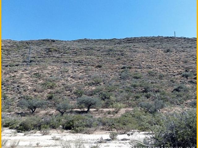 Terreno en venta en Comarca de la Alpujarra Granadina, Andalucía