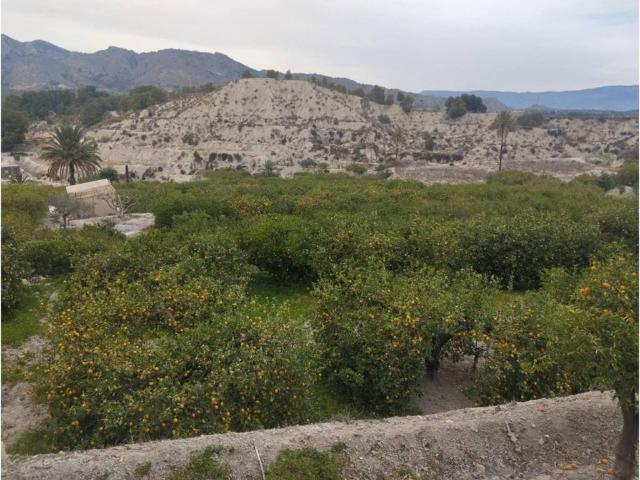Terreno en venta en Valle de Ricote, Murcia