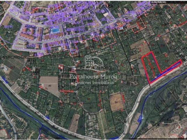 Terreno en venta en Valle de Ricote, Murcia