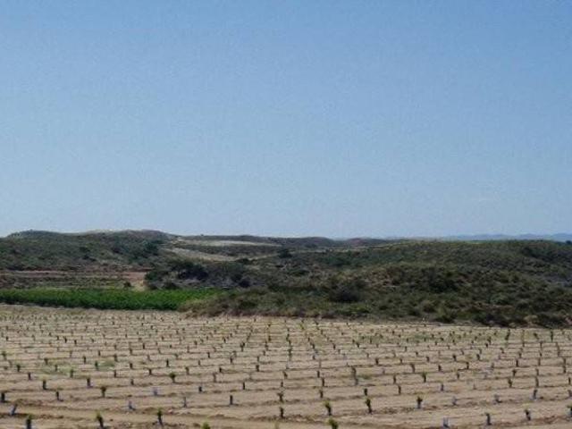 Terreno en venta en Los Turpines, Ulea
