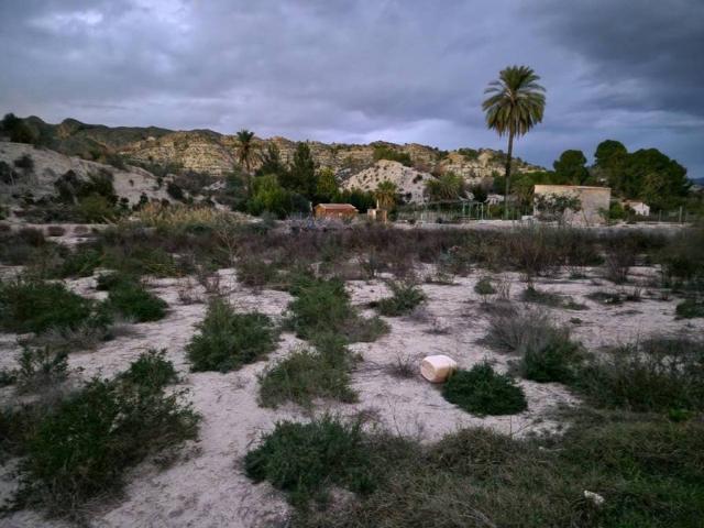 Terreno en venta en Valle de Ricote, Murcia