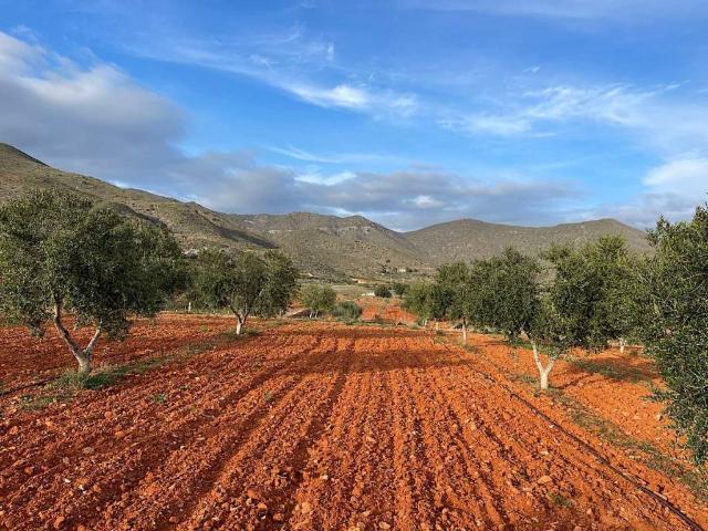 Terreno en venta en Uleila Del Campo, Andalucía