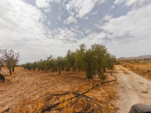 Terreno en venta en Uleila Del Campo, Andalucía