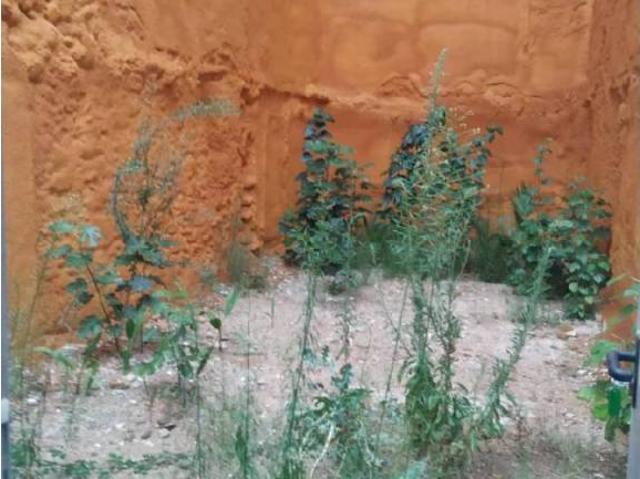 Terreno en venta en Montsià, Catalunya