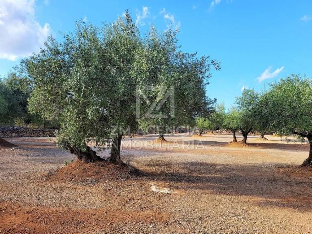 Terreno en venta en Montsià, Catalunya