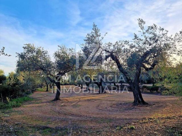 Terreno en venta en la Miliana, Montsià
