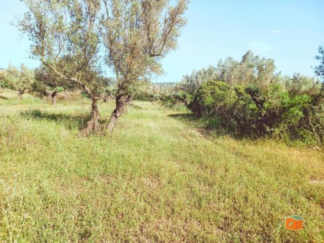 Terreno en venta en Montsià, Catalunya
