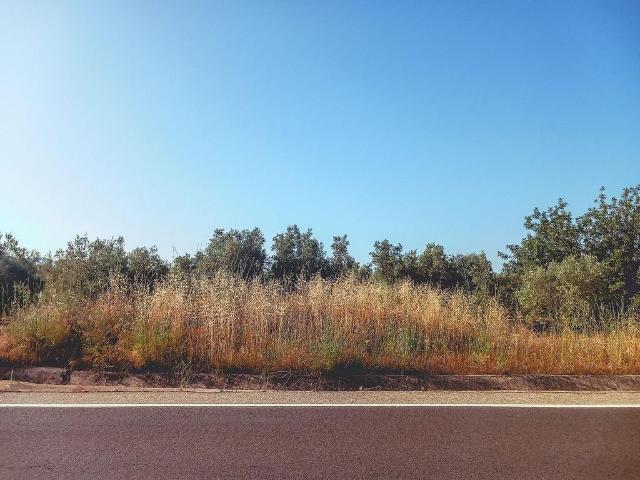 Terreno en venta en Montsià, Catalunya