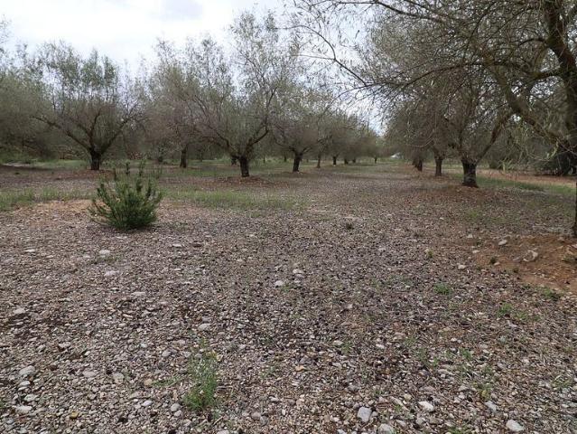 Terreno en venta en Montsià, Catalunya