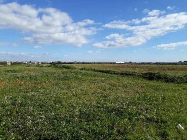 Terreno en venta en Umbrete, Andalucía
