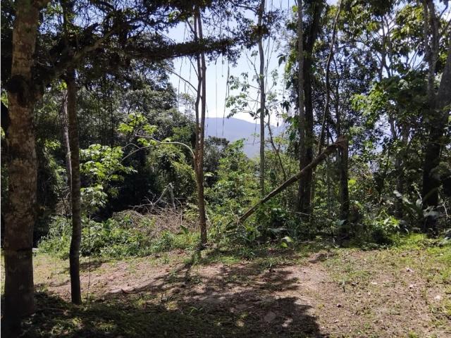 Terreno en venta en Valencia, Municipio Valencia