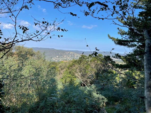 Terreno en venta en Castell d'Aro, Platja d'Aro i s'Agaró, Baix Empordà