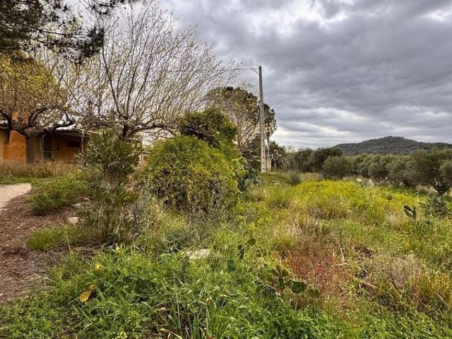 Terreno en venta en Baix Camp, Catalunya