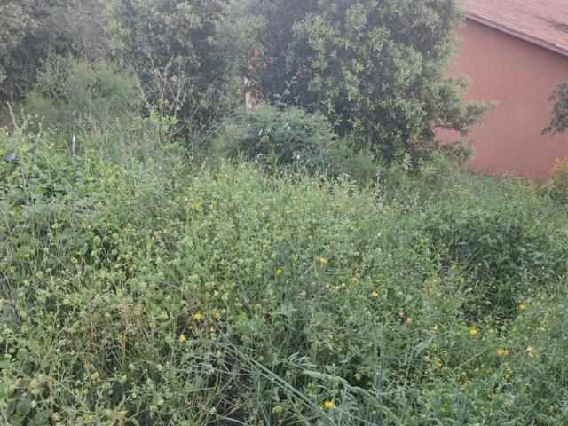Terreno en venta en la Selva, Catalunya