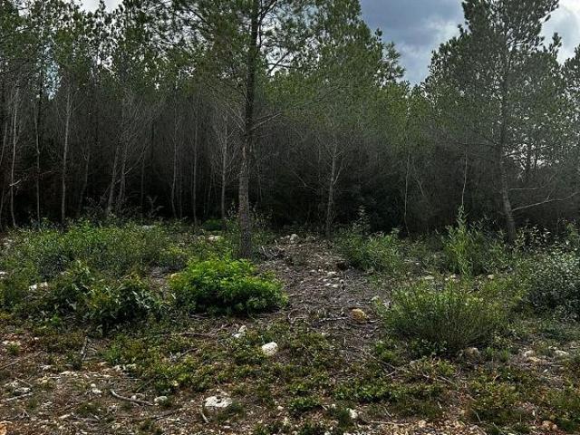 Terreno en venta en Cervelló