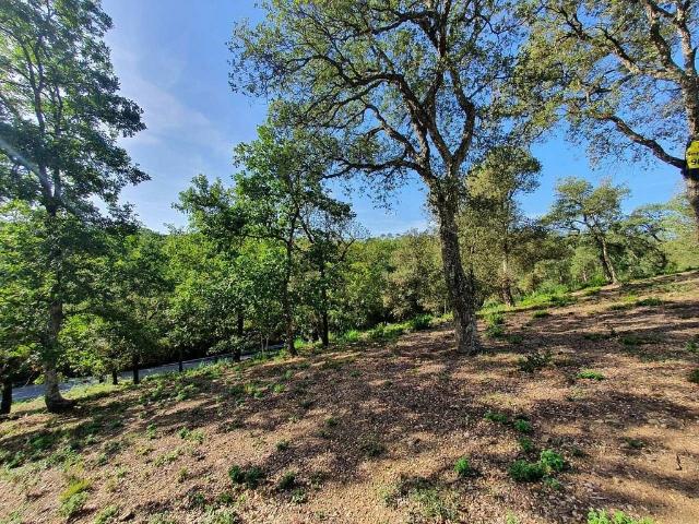 Terreno en venta en Bescanó, Mas Llunes