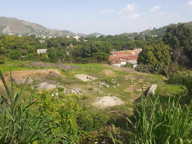 Propiedad en venta en Guárico